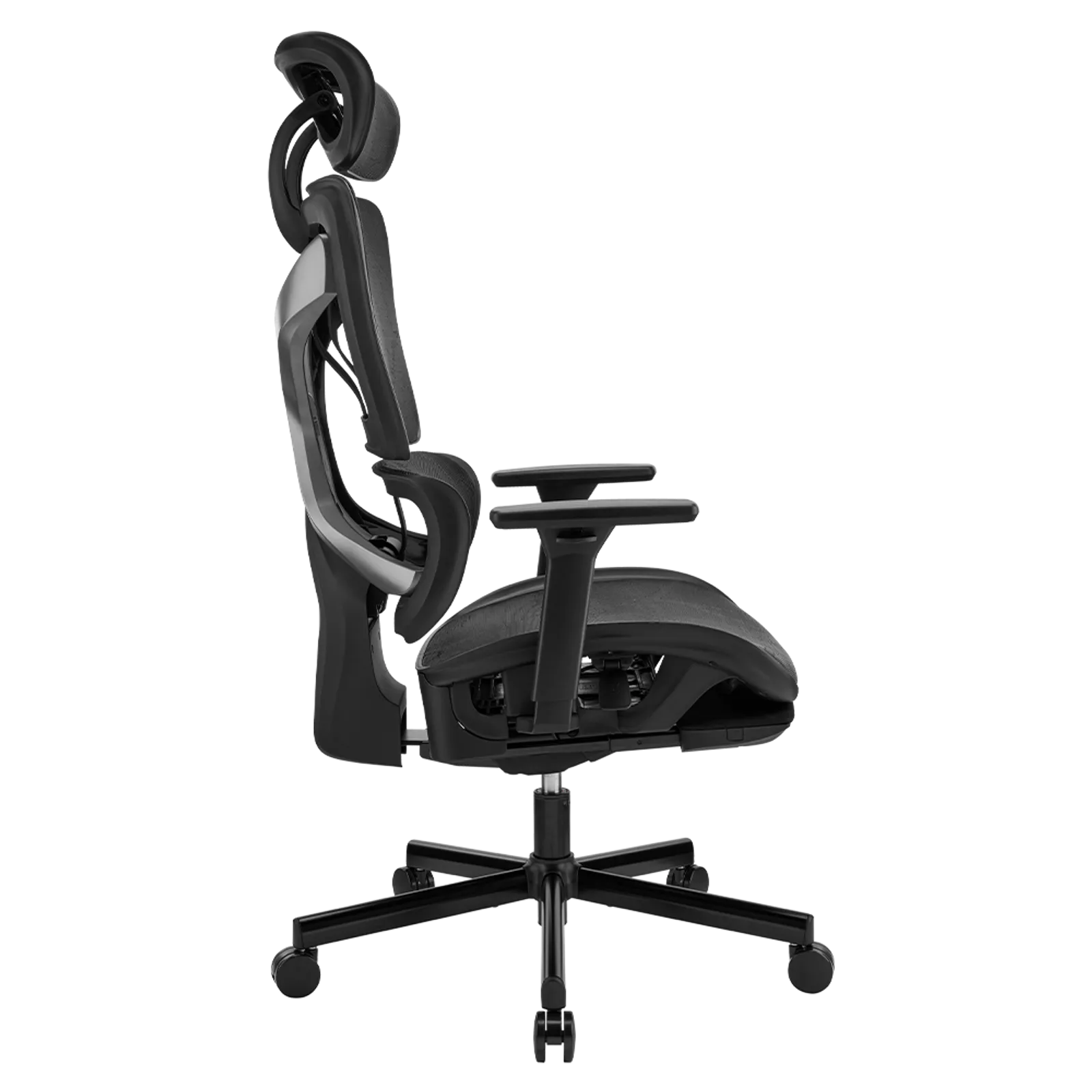 Focus PRO