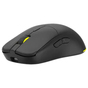 ANT Wireless