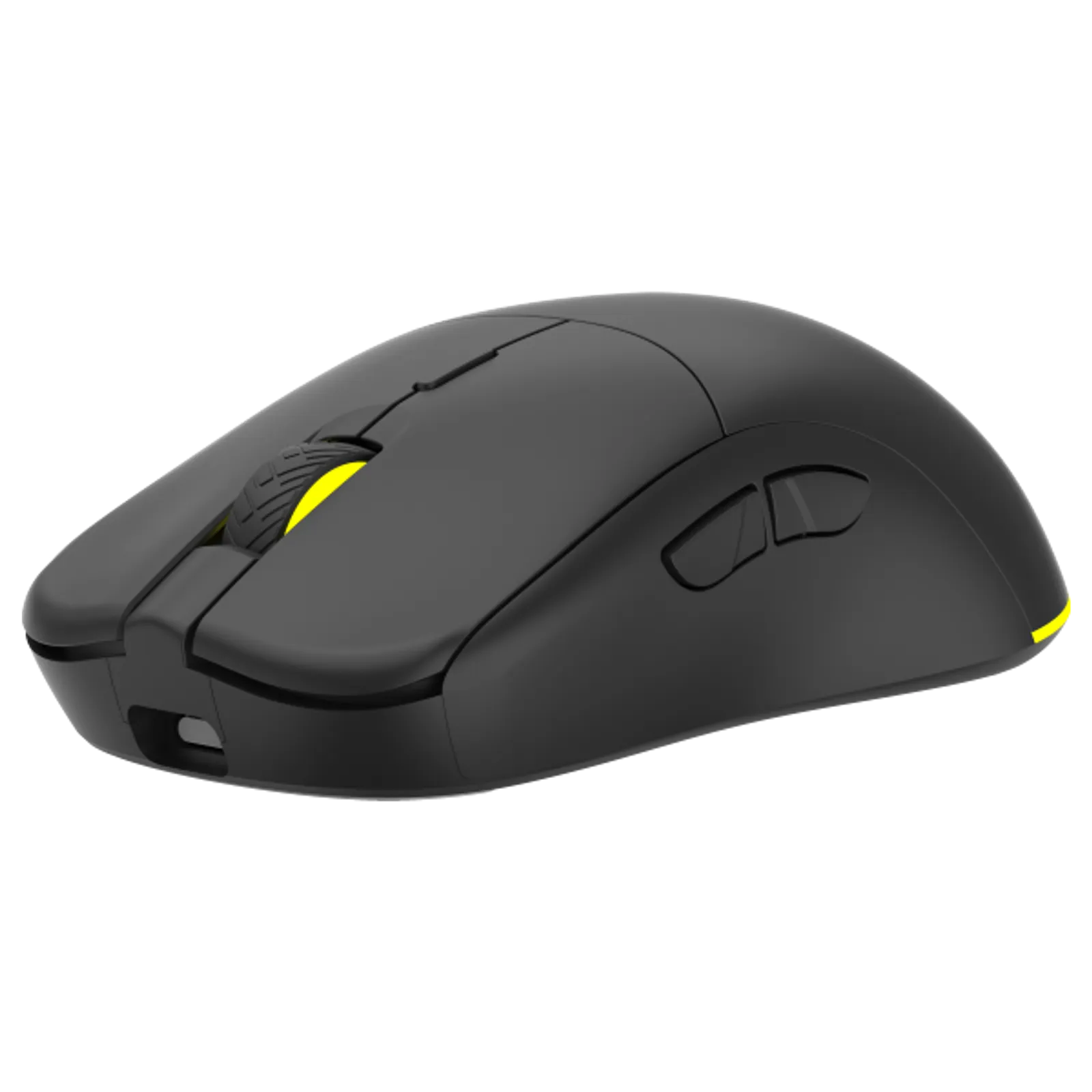 ANT Wireless