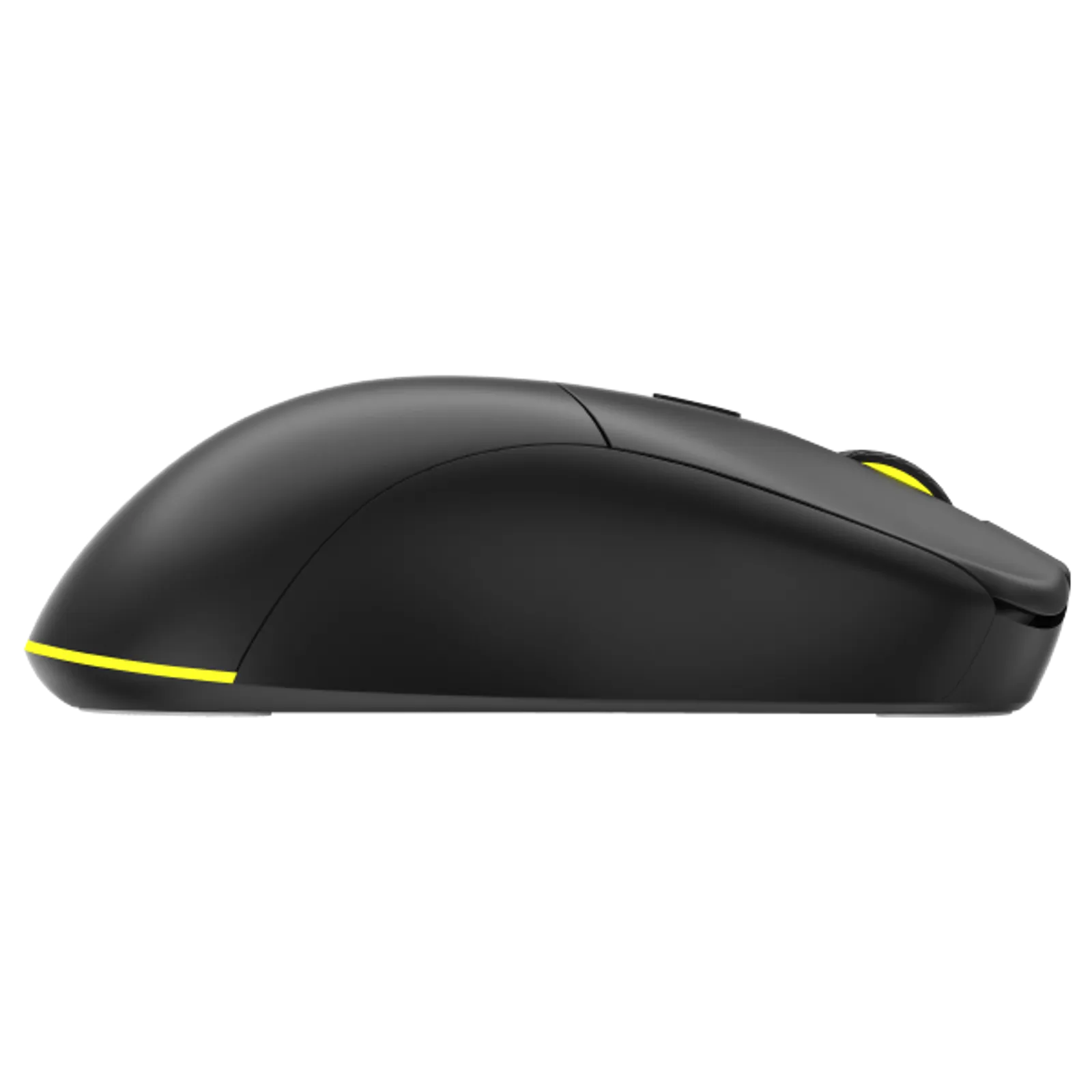 ANT Wireless