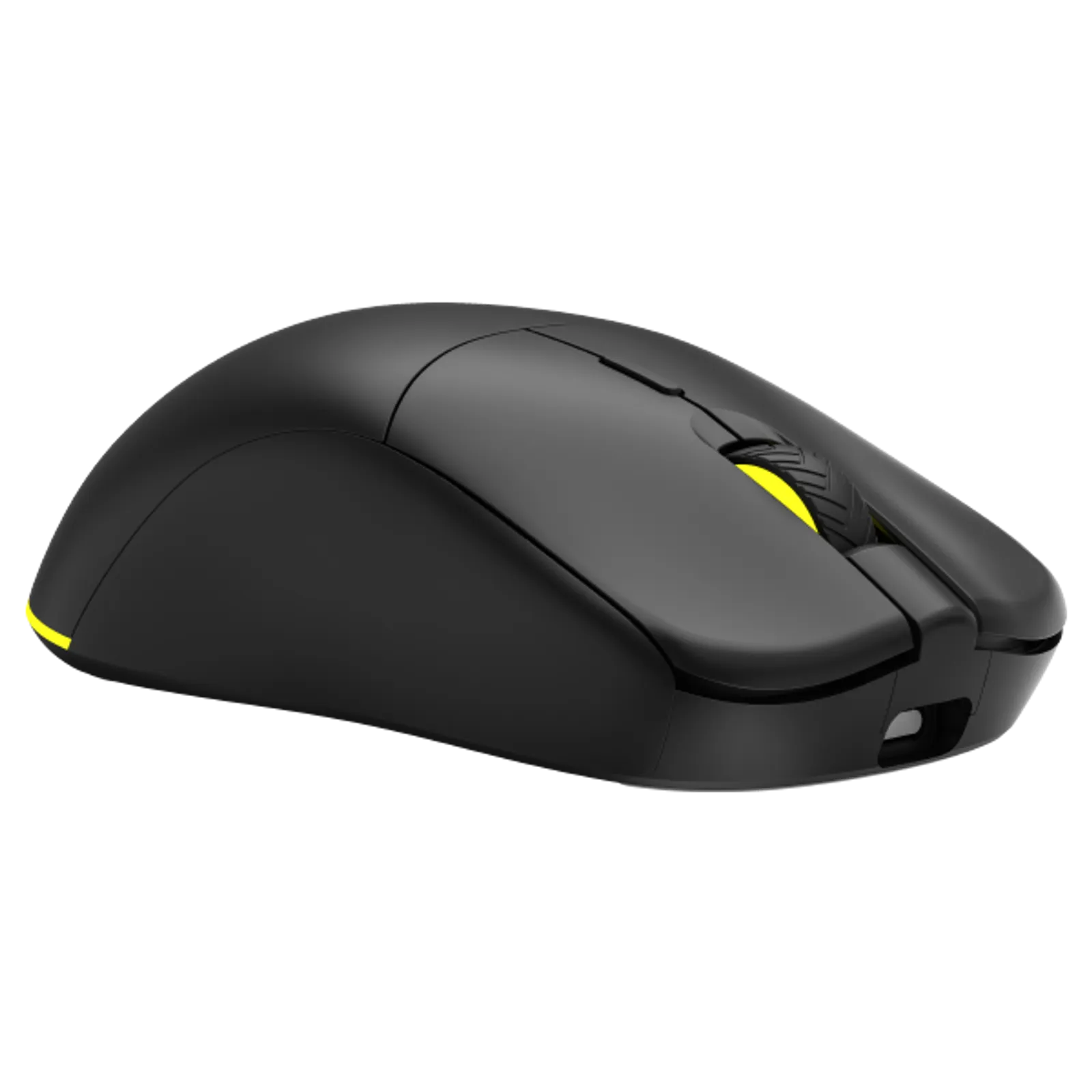 ANT Wireless
